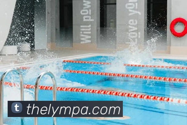 pa视讯平台生态图